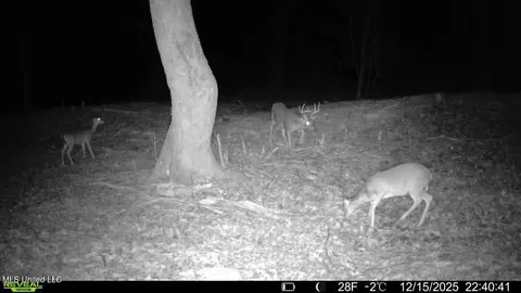 3368 Ms-17, Pickens, MS 39146 photo 55