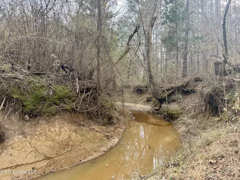 3368 Ms-17, Pickens, MS 39146 photo 31