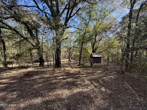 3368 Ms-17, Pickens, MS 39146 photo 23