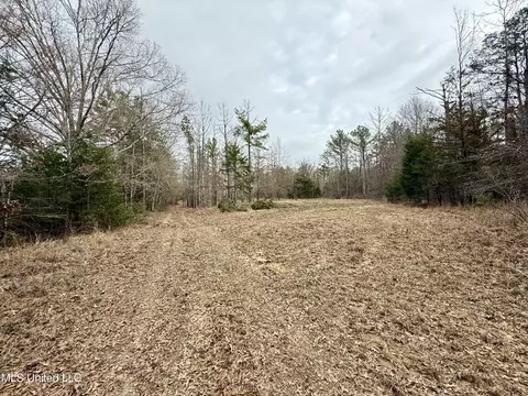 3368 Ms-17, Pickens, MS 39146 photo 32