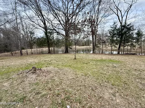 3368 Ms-17, Pickens, MS 39146 photo 68