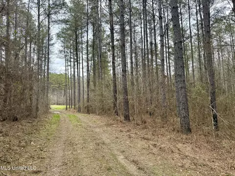 3368 Ms-17, Pickens, MS 39146 photo 17