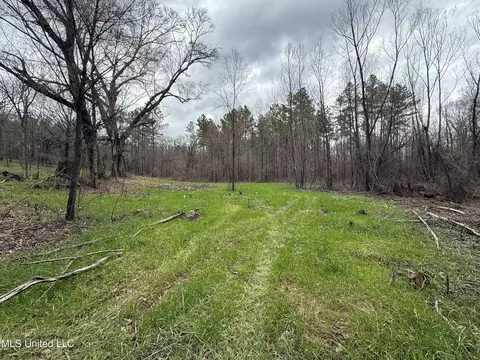 3368 Ms-17, Pickens, MS 39146 photo 27
