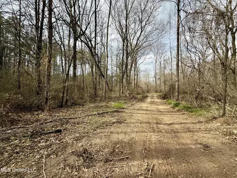 3368 Ms-17, Pickens, MS 39146 photo 48