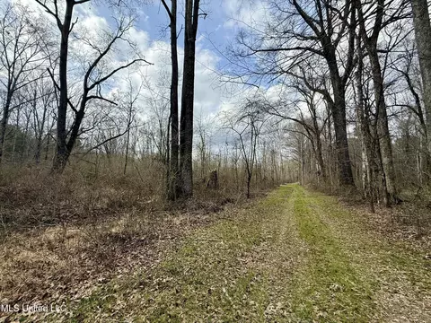 3368 Ms-17, Pickens, MS 39146 photo 52