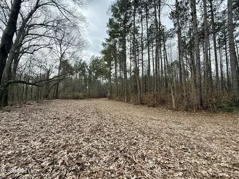 3368 Ms-17, Pickens, MS 39146 photo 34