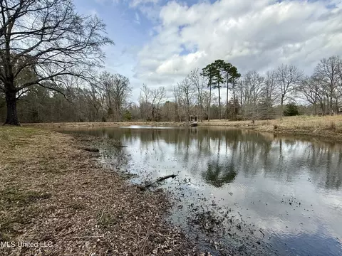 3368 Ms-17, Pickens, MS 39146 photo 2