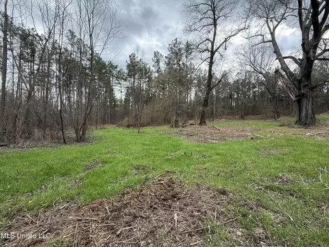 3368 Ms-17, Pickens, MS 39146 photo 28