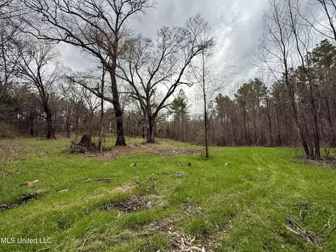3368 Ms-17, Pickens, MS 39146 photo 24