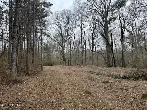 3368 Ms-17, Pickens, MS 39146 photo 35