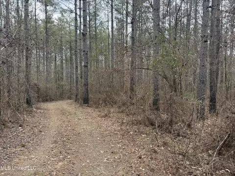 3368 Ms-17, Pickens, MS 39146 photo 61