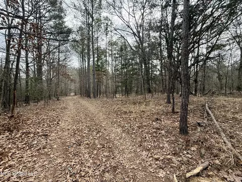 3368 Ms-17, Pickens, MS 39146 photo 36