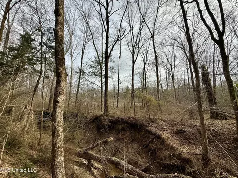 3368 Ms-17, Pickens, MS 39146 photo 38