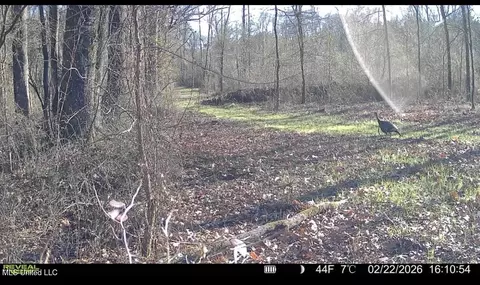 3368 Ms-17, Pickens, MS 39146 photo 50