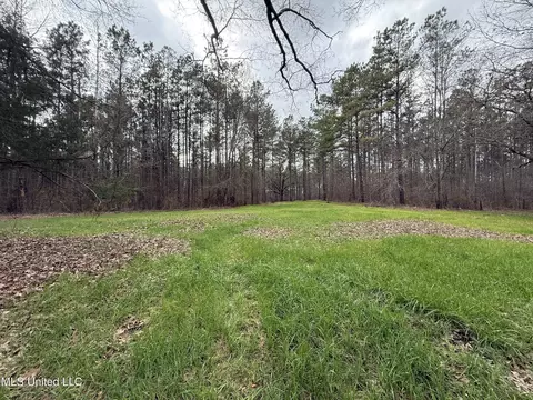 3368 Ms-17, Pickens, MS 39146 photo 21