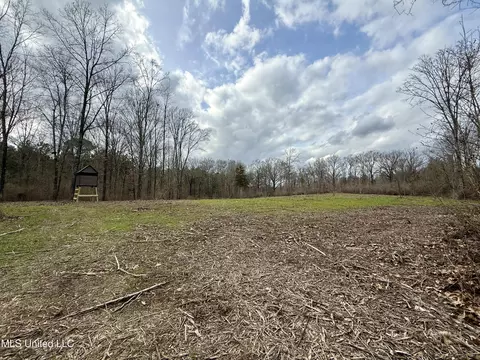 3368 Ms-17, Pickens, MS 39146 photo 53