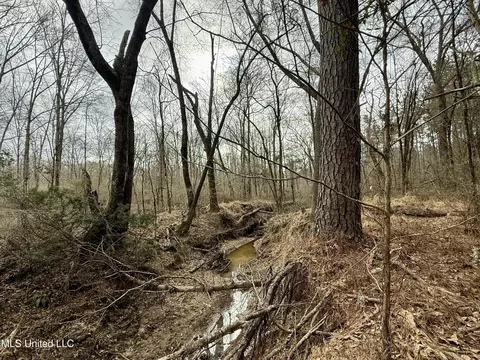 3368 Ms-17, Pickens, MS 39146 photo 39