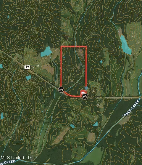 3368 Ms-17, Pickens, MS 39146 photo 13