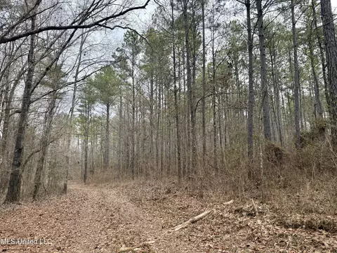 3368 Ms-17, Pickens, MS 39146 photo 33