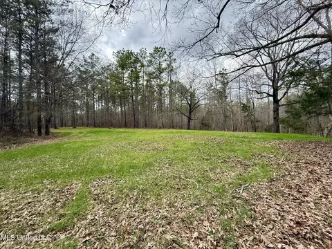 3368 Ms-17, Pickens, MS 39146 photo 4