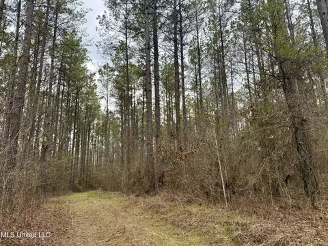 3368 Ms-17, Pickens, MS 39146 photo 81