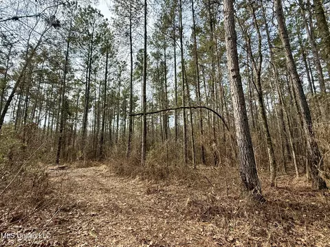 3368 Ms-17, Pickens, MS 39146 photo 9