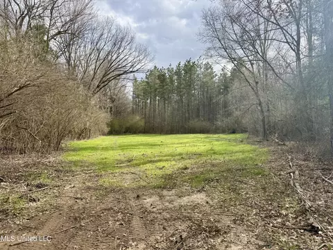 3368 Ms-17, Pickens, MS 39146 photo 47