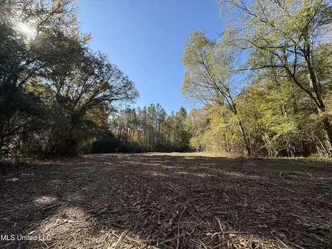 3368 Ms-17, Pickens, MS 39146 photo 62