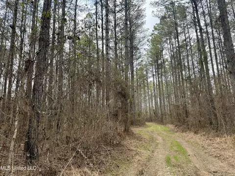 3368 Ms-17, Pickens, MS 39146 photo 20