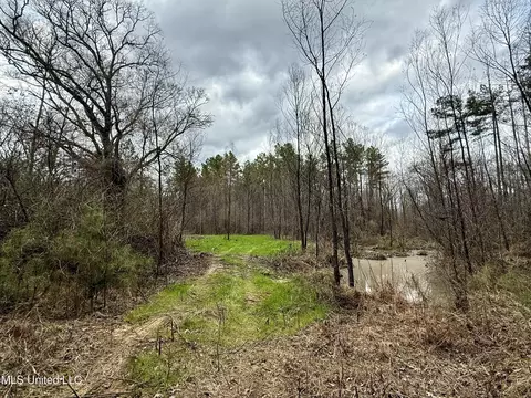 3368 Ms-17, Pickens, MS 39146 photo 26