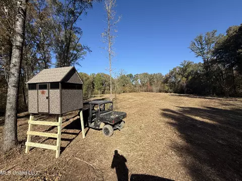 3368 Ms-17, Pickens, MS 39146 photo 79