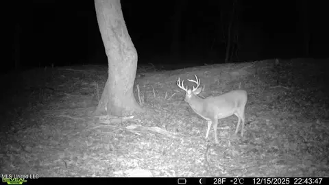 3368 Ms-17, Pickens, MS 39146 photo 5