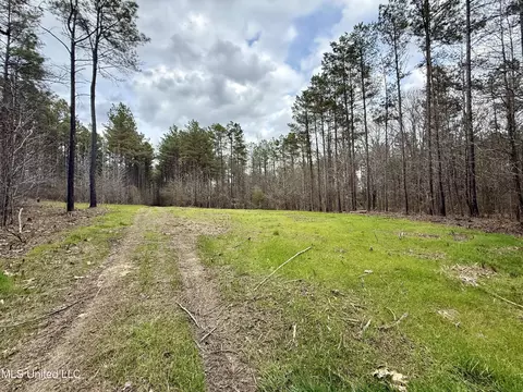 3368 Ms-17, Pickens, MS 39146 photo 18