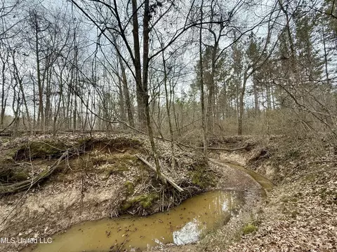 3368 Ms-17, Pickens, MS 39146 photo 37