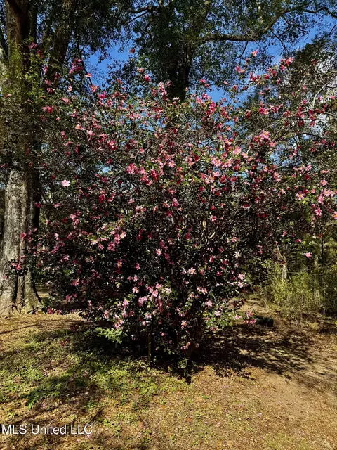 3368 Ms-17, Pickens, MS 39146 photo 58