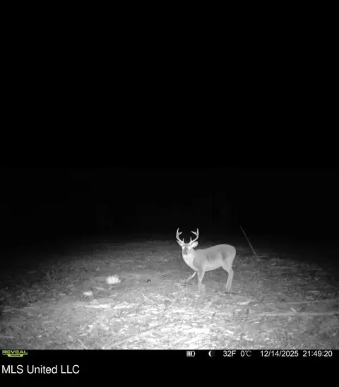3368 Ms-17, Pickens, MS 39146 photo 78