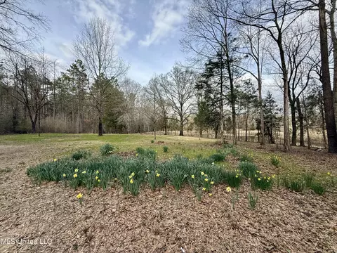 3368 Ms-17, Pickens, MS 39146 photo 80
