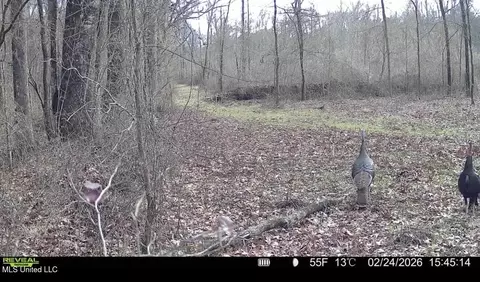 3368 Ms-17, Pickens, MS 39146 photo 54