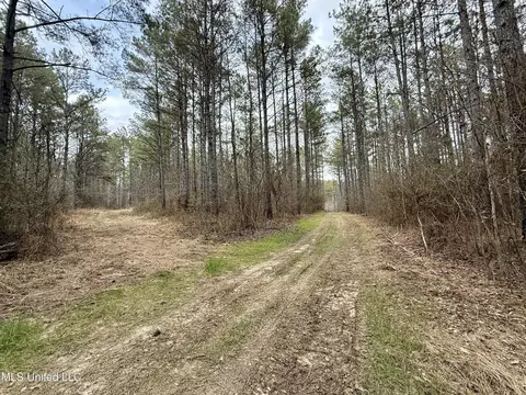 3368 Ms-17, Pickens, MS 39146 photo 19