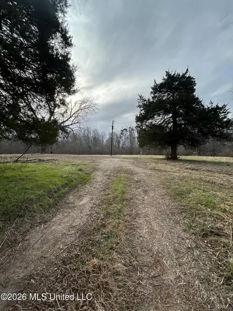 9943 W Commerce St, Hernando, MS 38632 photo 2