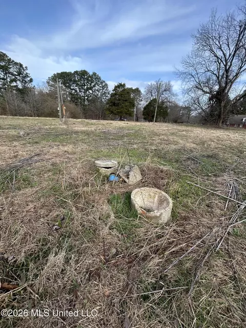 9943 W Commerce St, Hernando, MS 38632 photo 5