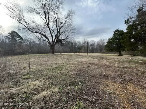 9943 W Commerce St, Hernando, MS 38632 photo 4