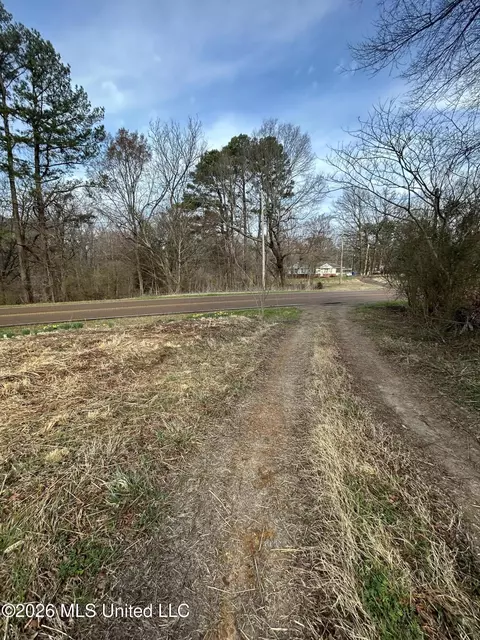 9943 W Commerce St, Hernando, MS 38632 photo 3