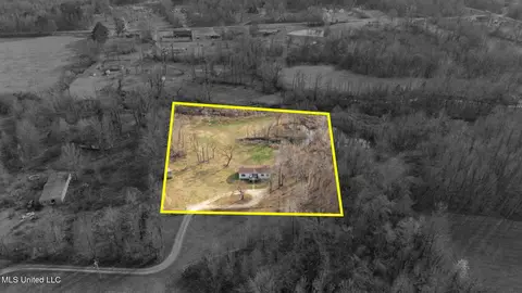 7203 Angie Dr, Hernando, MS 38632 photo 30