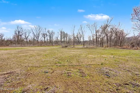 7203 Angie Dr, Hernando, MS 38632 photo 26