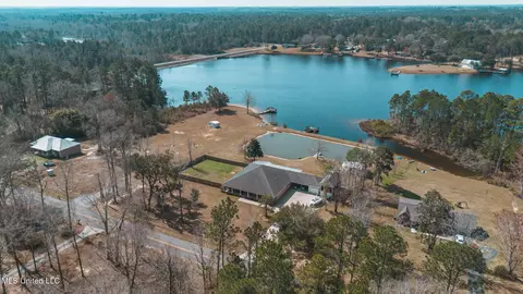 View/Area - 17113 E Spring Lake Dr, Vancleave, MS 39565 photo 3 of 17