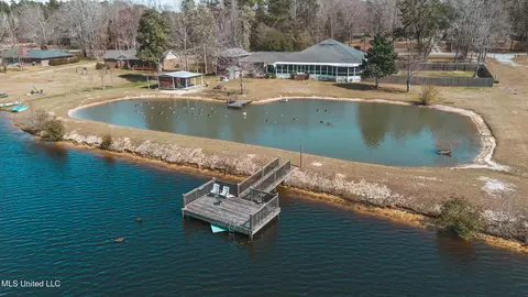 View/Area - 17113 E Spring Lake Dr, Vancleave, MS 39565 photo 9 of 17