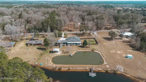 View/Area - 17113 E Spring Lake Dr, Vancleave, MS 39565 photo 4 of 17