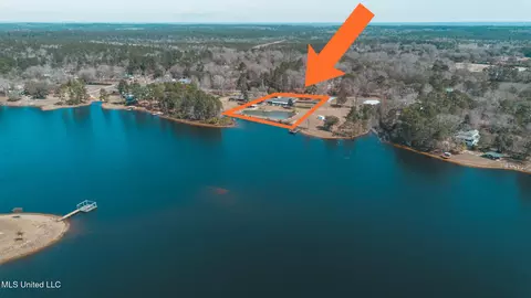 View/Area - 17113 E Spring Lake Dr, Vancleave, MS 39565 photo 1 of 17