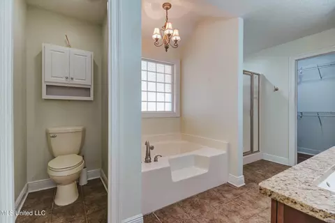 Bath - 17113 E Spring Lake Dr, Vancleave, MS 39565 photo 4 of 5